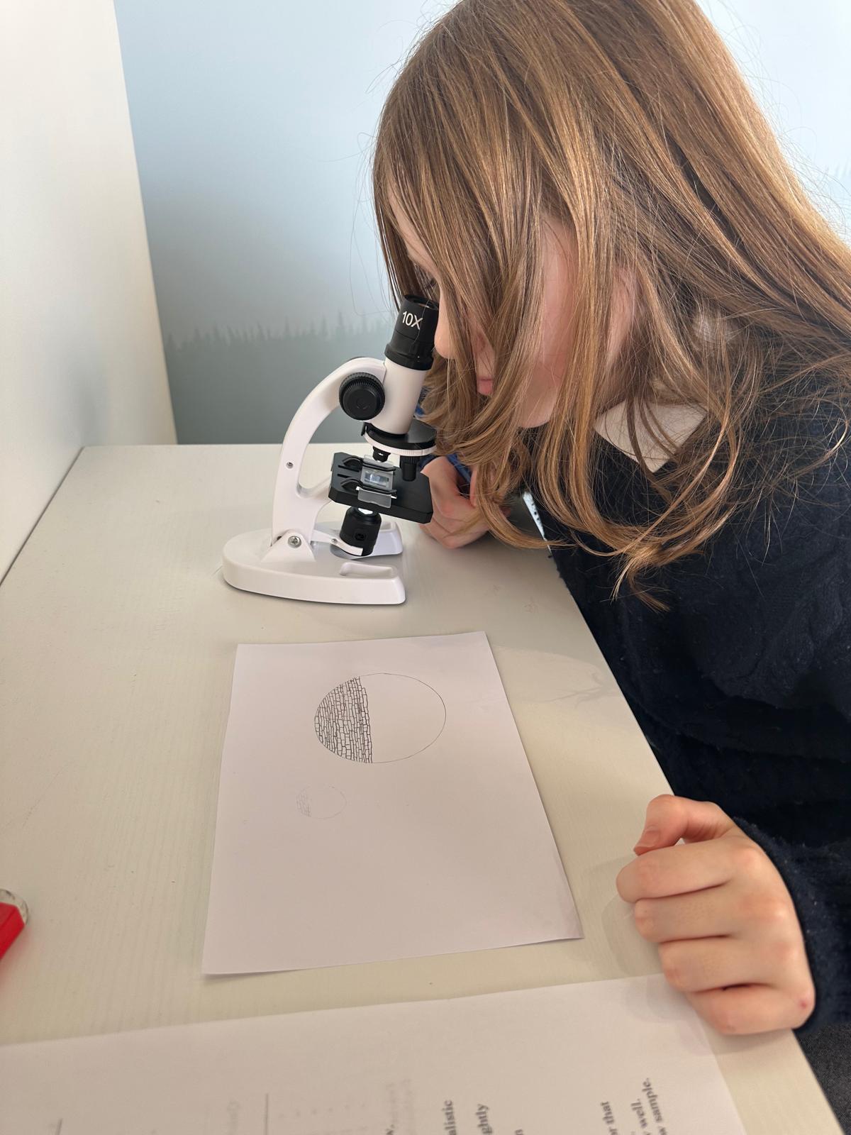 Students exploring science concepts through hands-on learning